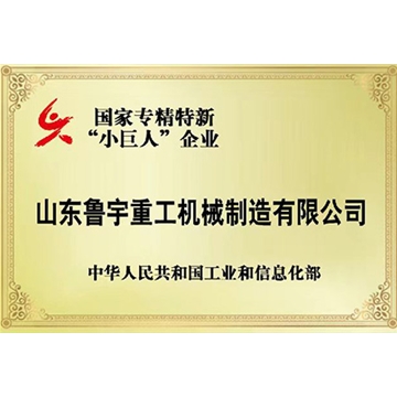 國家專(zhuān)精特新“小巨人”企業(yè)